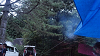 camp26 (357)_thumb.png